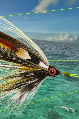 Fly Fishing Fly Fishing