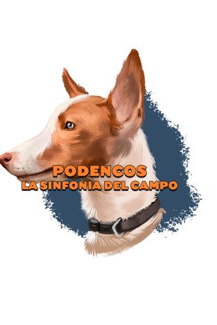 Podencos: la sinfonía del campo Podencos: la sinfonía del campo