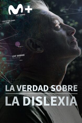 La verdad sobre la dislexia La verdad sobre la dislexia
