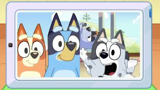 Bluey (T3): Ep.26 Charla cara a cara Bluey (T3): Ep.26 Charla cara a cara
