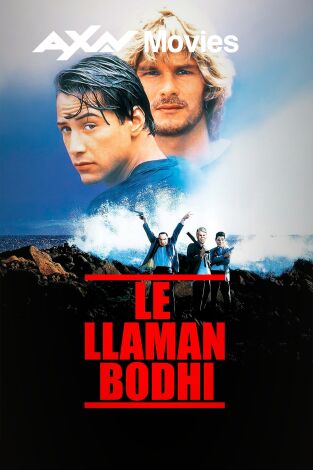 Le llaman Bodhi Le llaman Bodhi