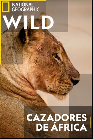 Cazadores de África: La leopardo que cambió sus lunares Cazadores de África: La leopardo que cambió sus lunares
