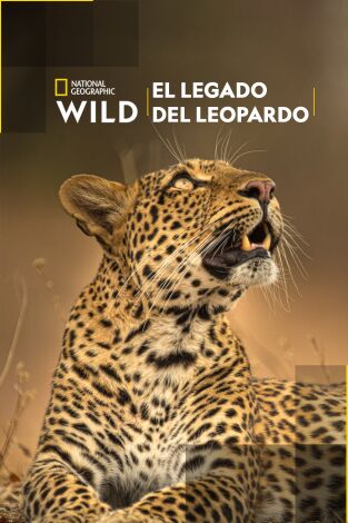 El legado de la leoparda El legado de la leoparda