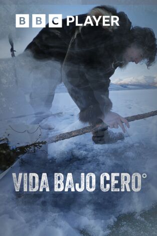 Vida bajo cero Vida bajo cero