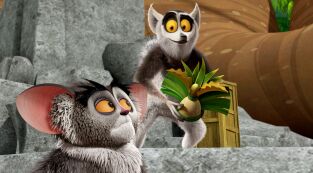 Viva el Rey Julien (T1): Ep.17 Las elecciones Viva el Rey Julien (T1): Ep.17 Las elecciones
