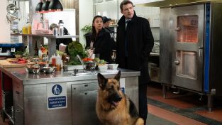 Hudson y Rex (T2): Ep.12 Para chuparse los dedos Hudson y Rex (T2): Ep.12 Para chuparse los dedos