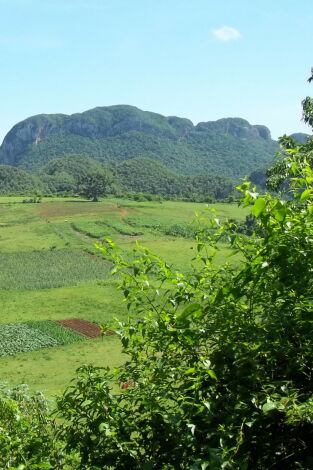 Naturalmente Naturalmente