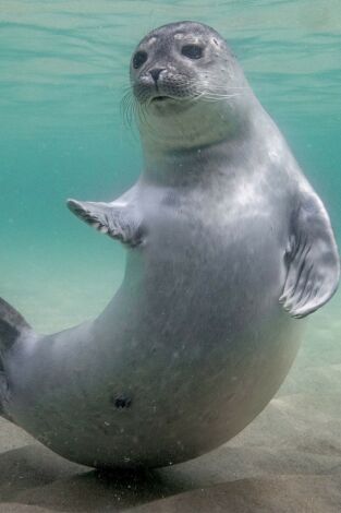 Mares en movimiento: El desconocido Mar del Norte