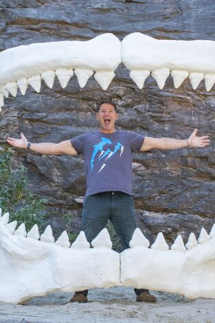 Depredadores letales: Tiburones