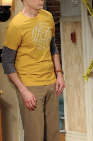 Big Bang (T5): Ep.9 La difusión de la ornitofobia