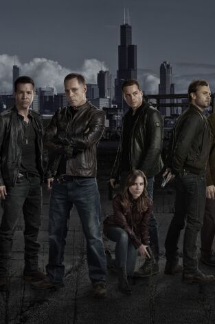 Chicago P.D. (T1): Ep.6 Convenciones