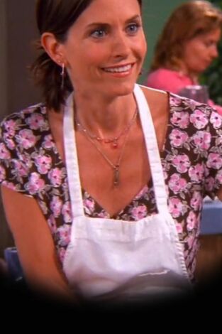 Friends (T8): Ep.21 El de la clase de cocina