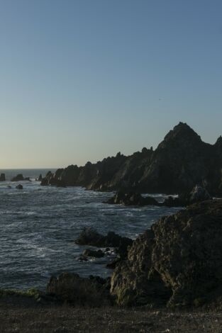 Corriente de Humboldt: el viaje de la ballena: Llegada