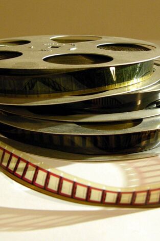 Valle blanco, gallo negro