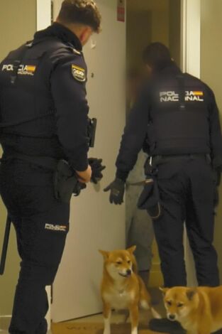 091: alerta policía: Episodio 2