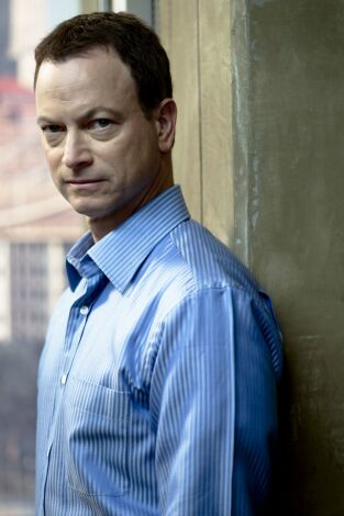 C.S.I. NY (T8): Ep.3 Cavallino Rampante