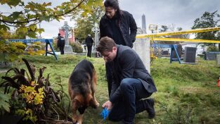 Hudson y Rex (T1): Ep.4 Día de clase