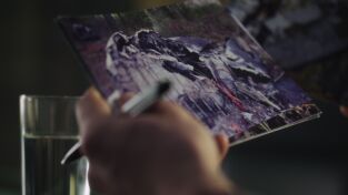 Mayday: Catástrofes aéreas: Intercambio letal