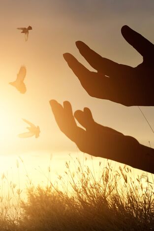 Papa Francisco. La conexión franciscana