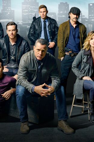 Chicago P.D. (T3): Ep.11 La familia dormida