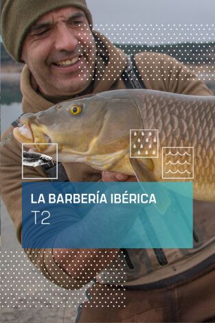 La Barbería Ibérica: El barbo común entre el Duero y el Tajo
