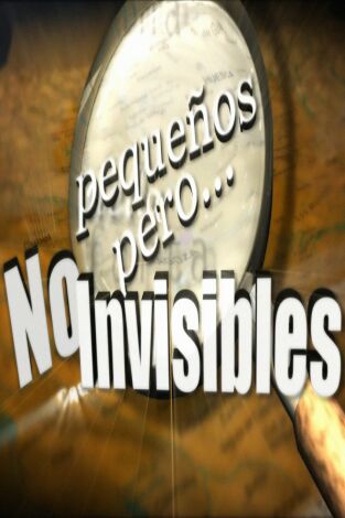 Pequeños, pero no invisibles: Hinojosa de Jarque y Castejón de las Armas