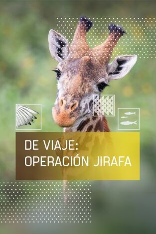 De viaje: Operación Jirafa