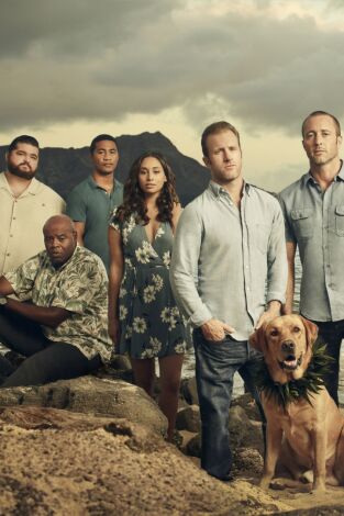 Hawai 5.0 (T9): Ep.25 Hana Mao 'ole ka ua o Waianae (La lluvia de Waianae cae sin cesar)