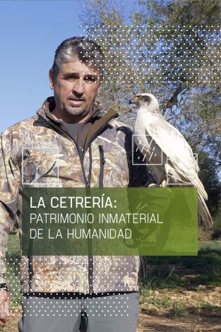 La cetrería: patrimonio inmaterial de la humanidad: Altanería con halcón peregrino